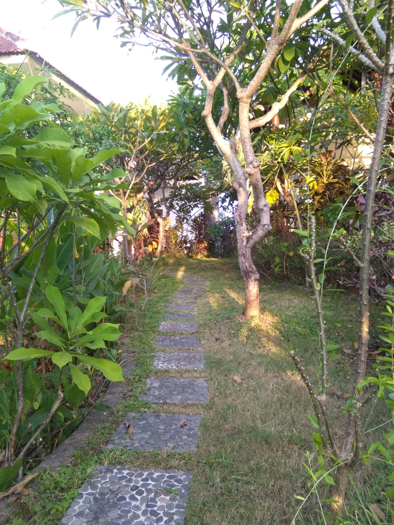 7 UNIT VILLA LOVINA DENGAN VIEW LAUT, DI TEMUKUS BALI, DEKAT KALIASEM, ANTURAN