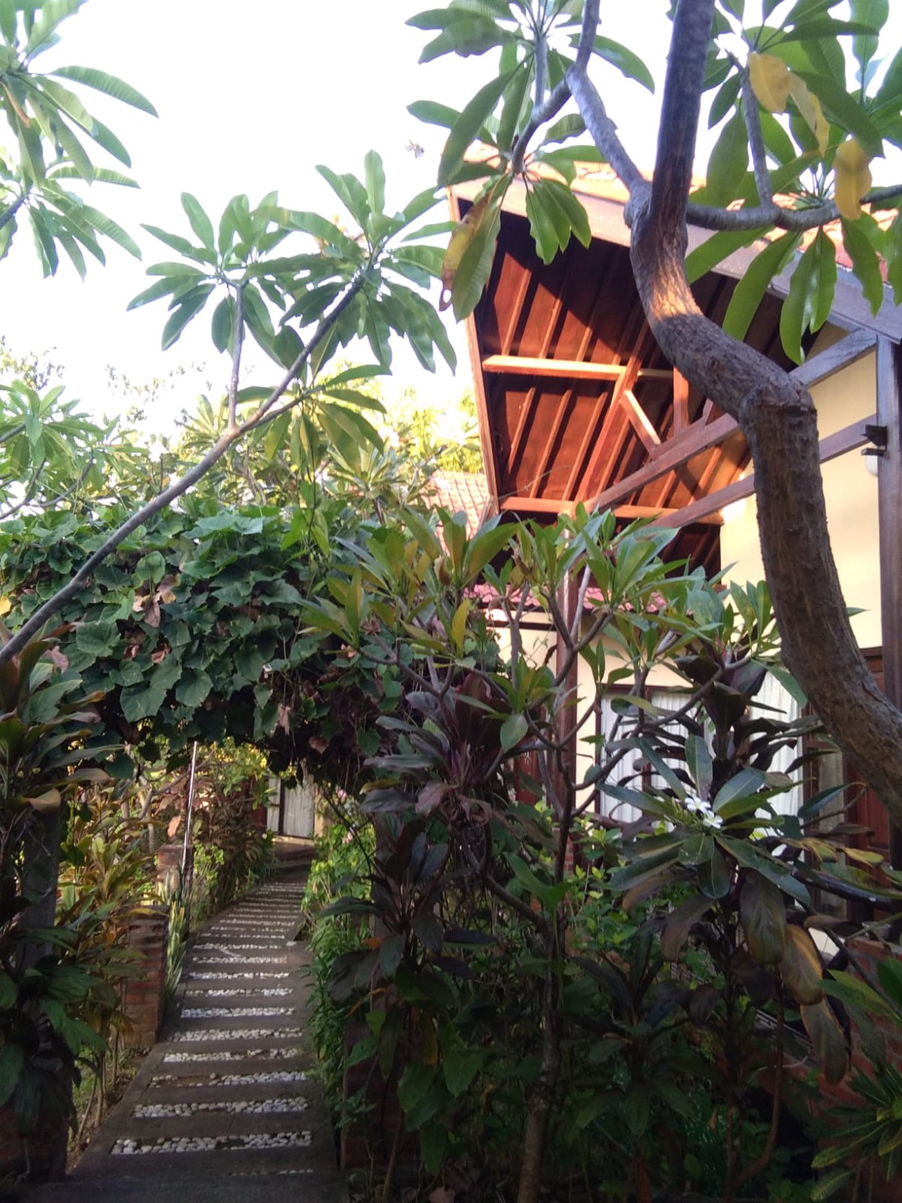 7 UNIT VILLA LOVINA DENGAN VIEW LAUT, DI TEMUKUS BALI, DEKAT KALIASEM, ANTURAN
