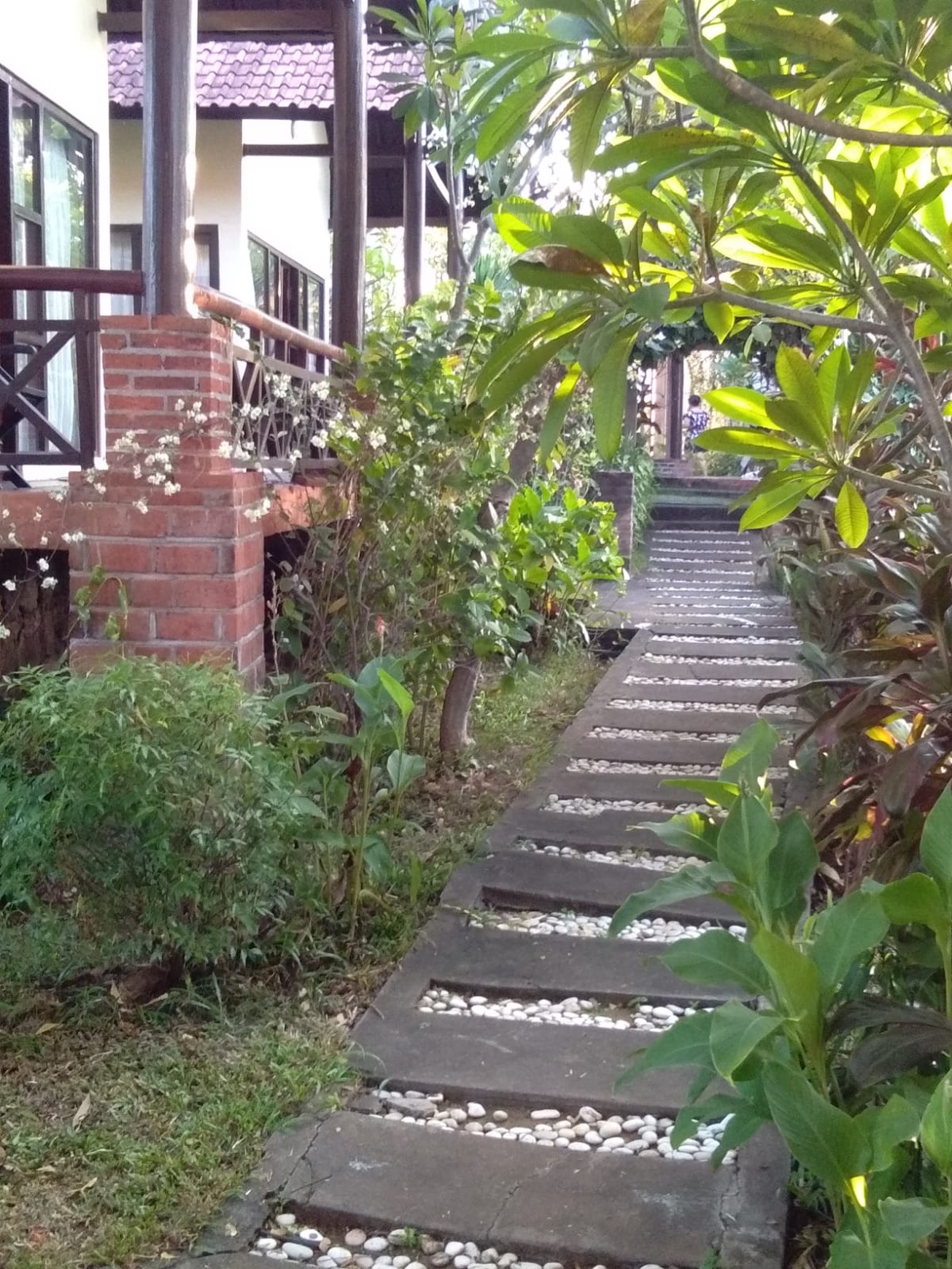 7 UNIT VILLA LOVINA DENGAN VIEW LAUT, DI TEMUKUS BALI, DEKAT KALIASEM, ANTURAN