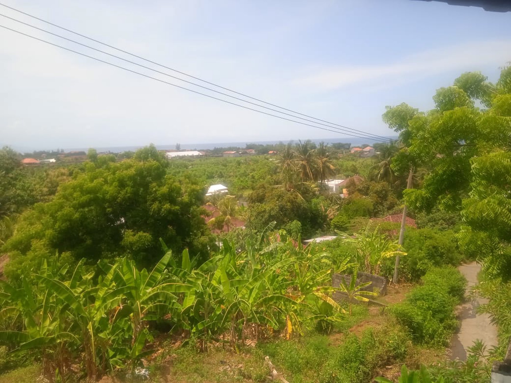 7 UNIT VILLA LOVINA DENGAN VIEW LAUT, DI TEMUKUS BALI, DEKAT KALIASEM, ANTURAN