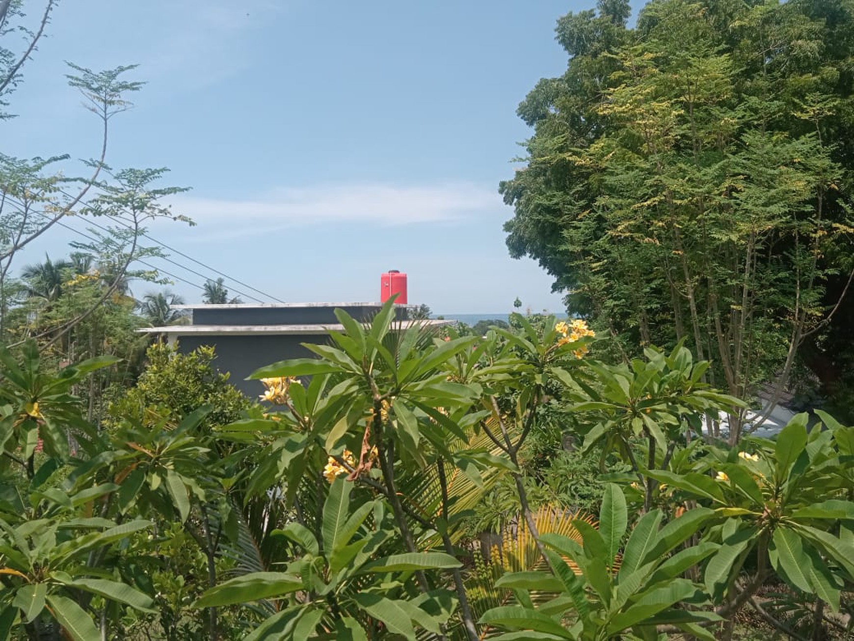 7 UNIT VILLA LOVINA DENGAN VIEW LAUT, DI TEMUKUS BALI, DEKAT KALIASEM, ANTURAN