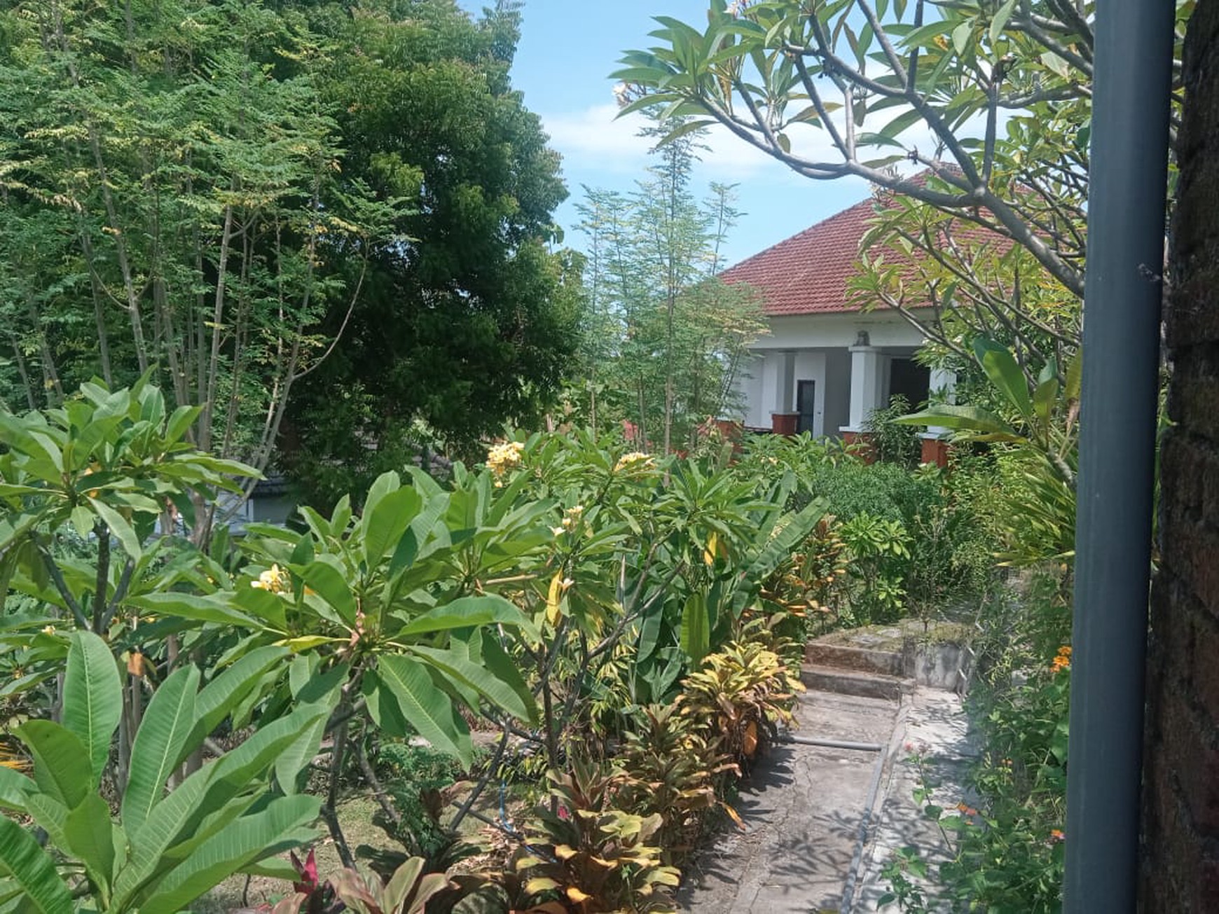 7 UNIT VILLA LOVINA DENGAN VIEW LAUT, DI TEMUKUS BALI, DEKAT KALIASEM, ANTURAN