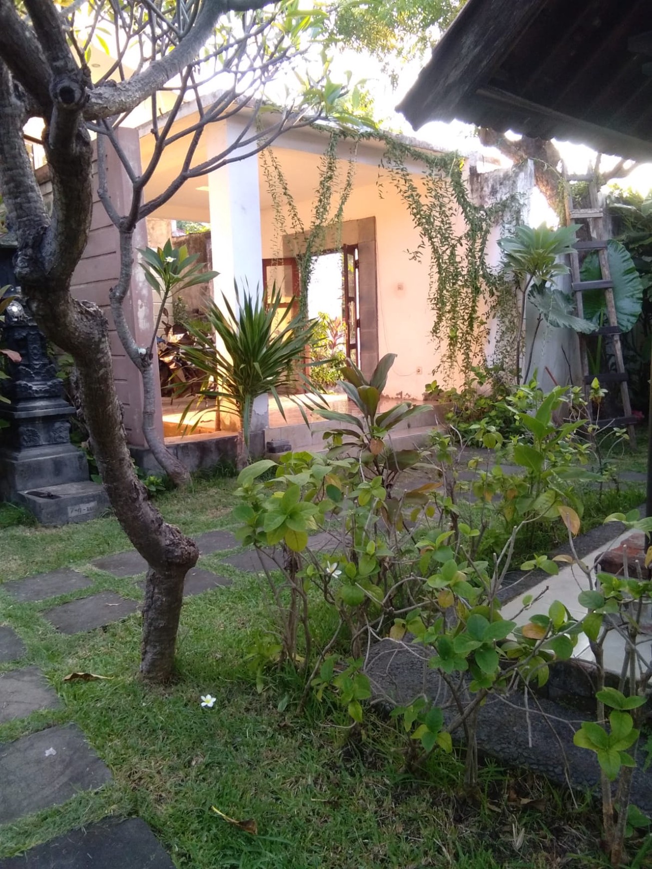 7 UNIT VILLA LOVINA DENGAN VIEW LAUT, DI TEMUKUS BALI, DEKAT KALIASEM, ANTURAN