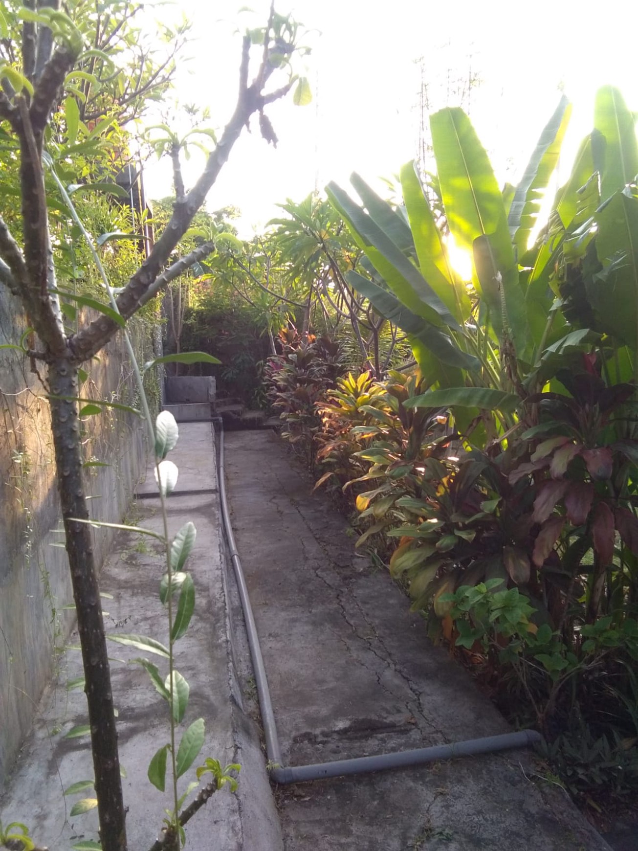 7 UNIT VILLA LOVINA DENGAN VIEW LAUT, DI TEMUKUS BALI, DEKAT KALIASEM, ANTURAN