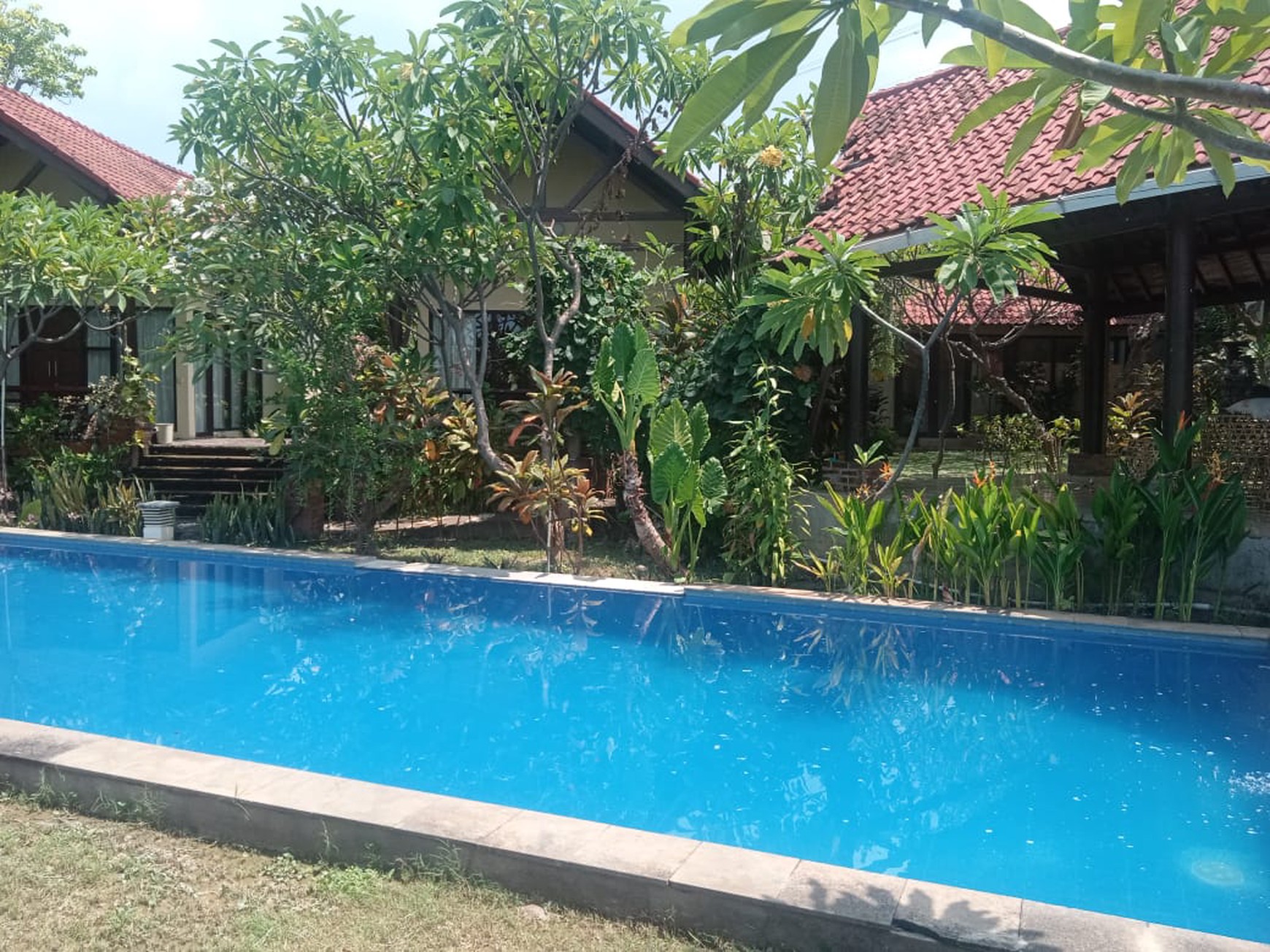 7 UNIT VILLA LOVINA DENGAN VIEW LAUT, DI TEMUKUS BALI, DEKAT KALIASEM, ANTURAN