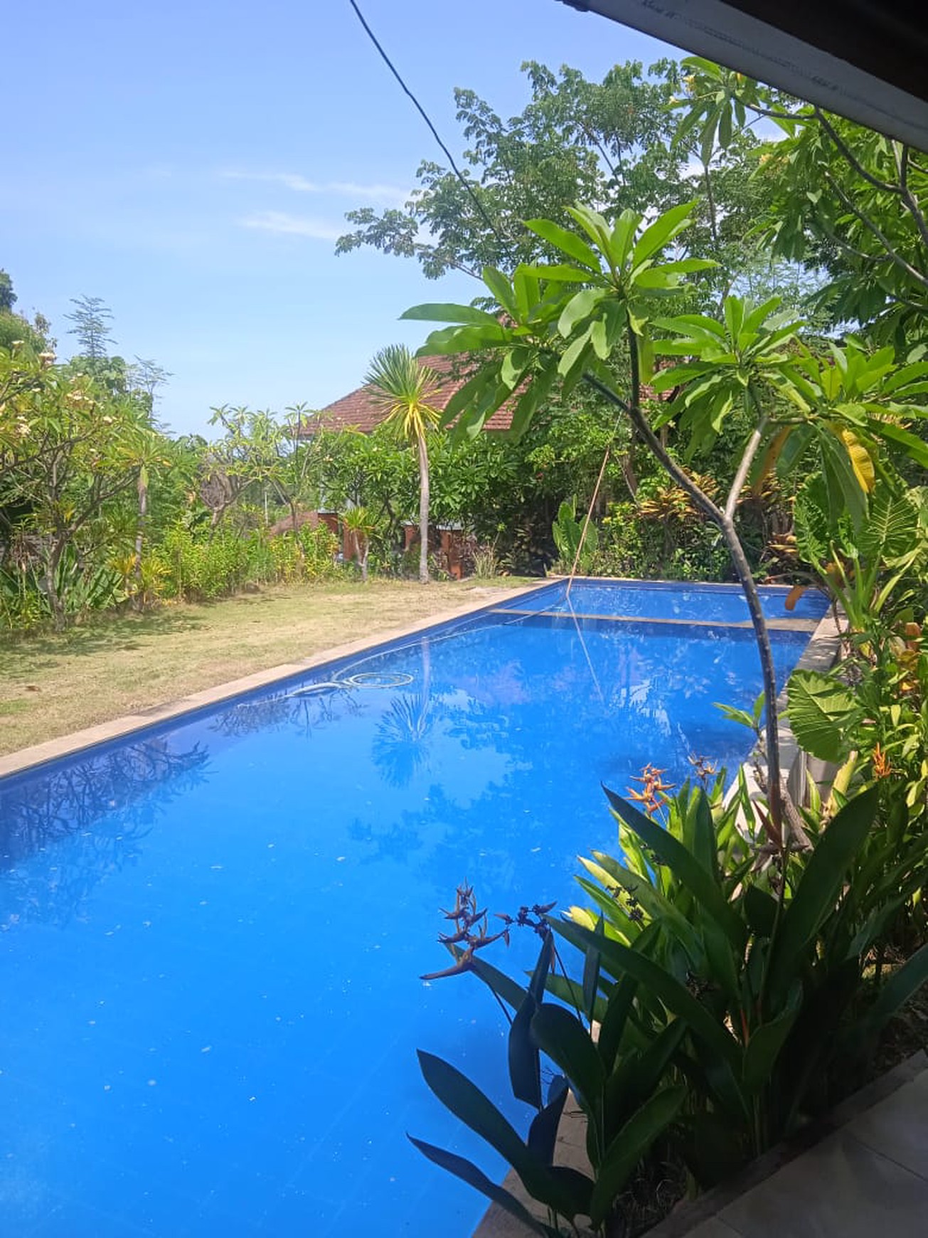 7 UNIT VILLA LOVINA DENGAN VIEW LAUT, DI TEMUKUS BALI, DEKAT KALIASEM, ANTURAN
