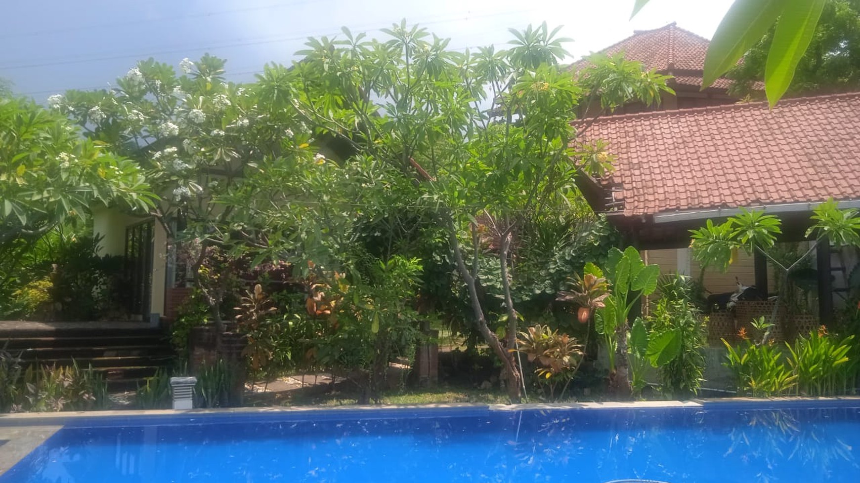 7 UNIT VILLA LOVINA DENGAN VIEW LAUT, DI TEMUKUS BALI, DEKAT KALIASEM, ANTURAN