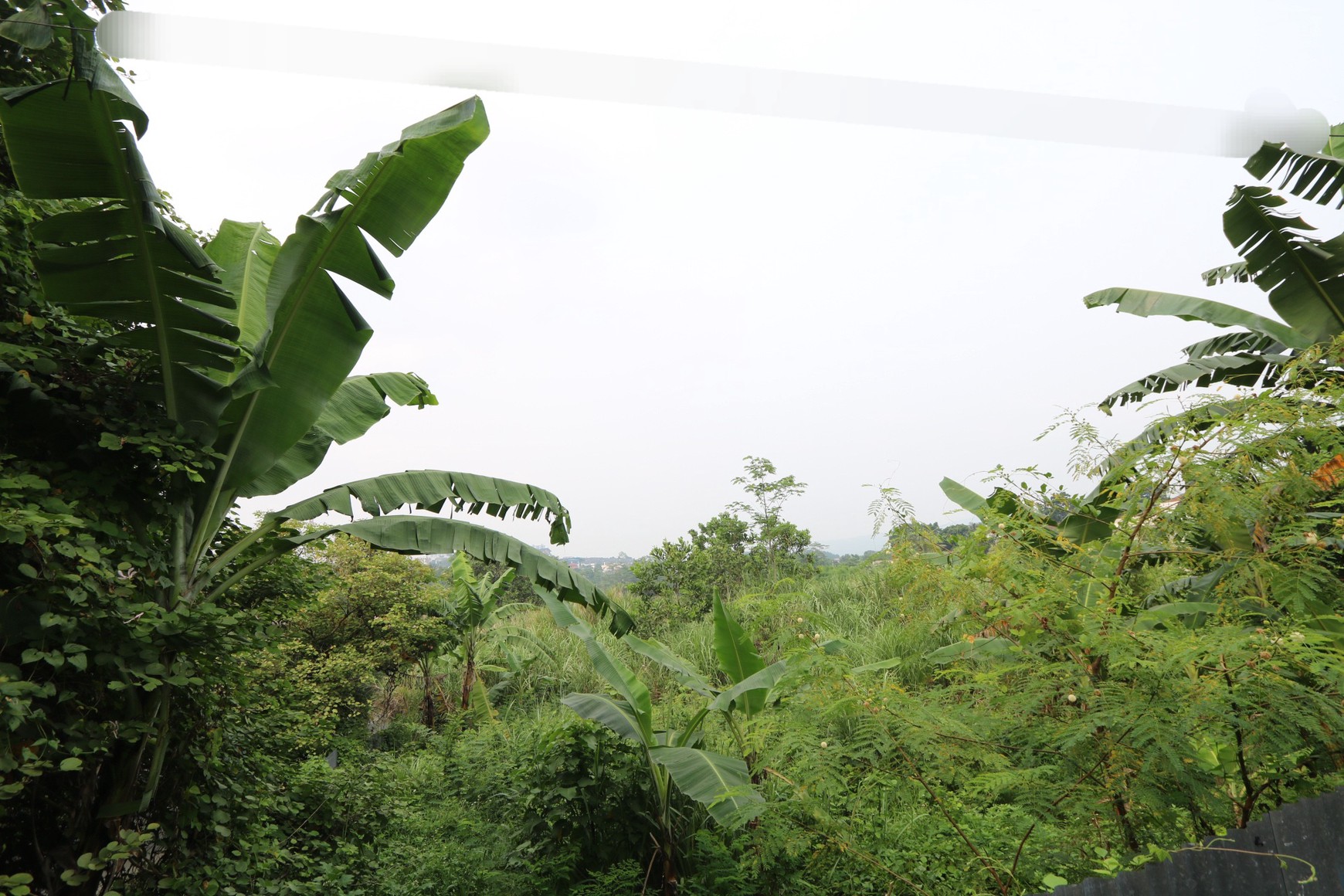 TANAH KAVLING DI PINGGIR JALAN SENTUL CITY, AKSES MUDAH KE AEON MALL, CLUSTER NORTRIDGE, SANCTUARY