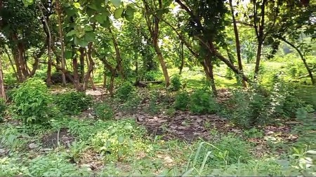 Dijual, dijual tanah beji pasuruan