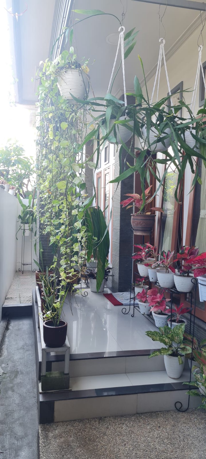 Freehold-Family-Friendly House for Sale in Padang Sambian, Bali