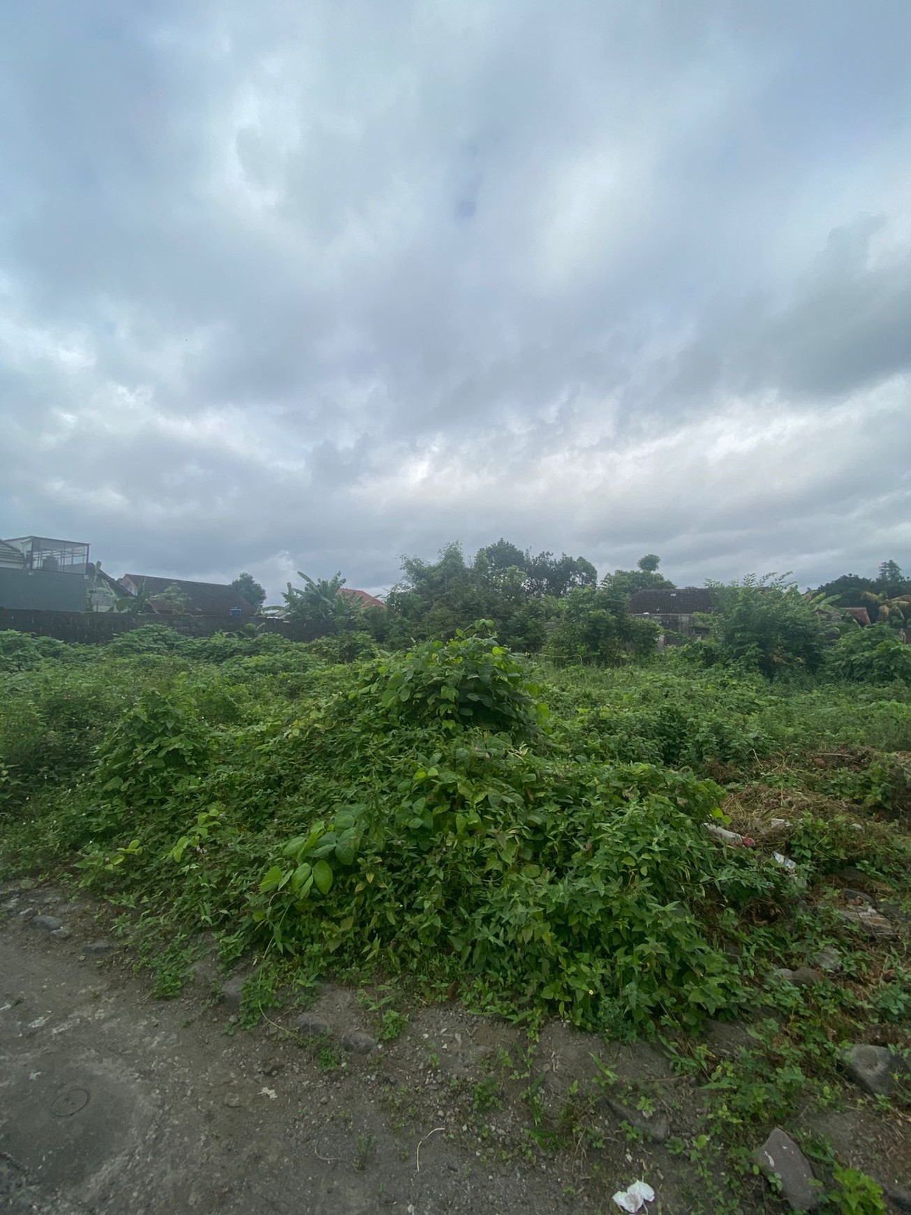 Tanah 598 Meter Persegi Diarea Jalan Damai Sinduharjo Ngaglik Sleman