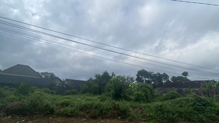Tanah 598 Meter Persegi Diarea Jalan Damai Sinduharjo Ngaglik Sleman