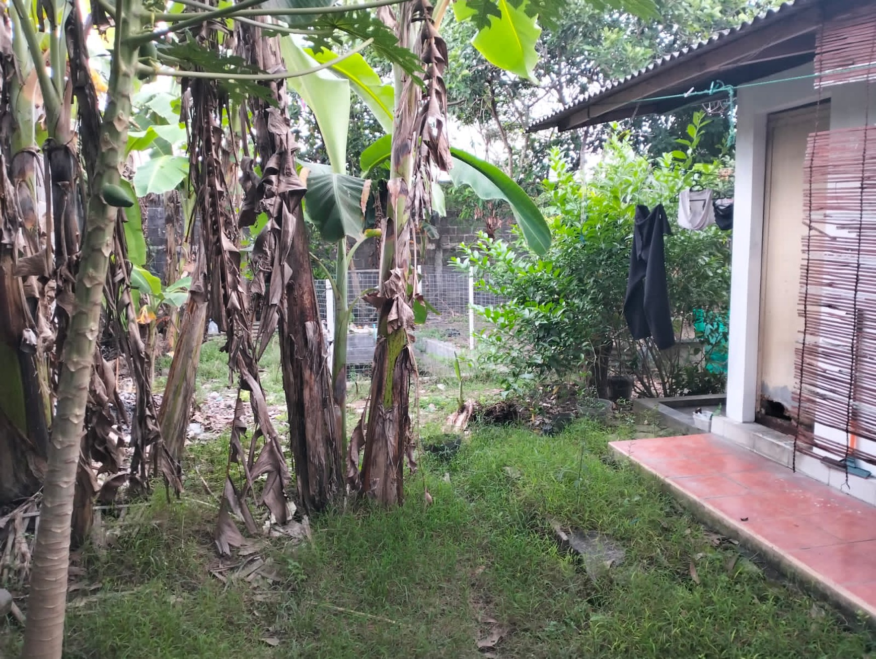 Tanah Bonus Bangunan Di Tegalrejo Jogja, Dekat Mirota Godean