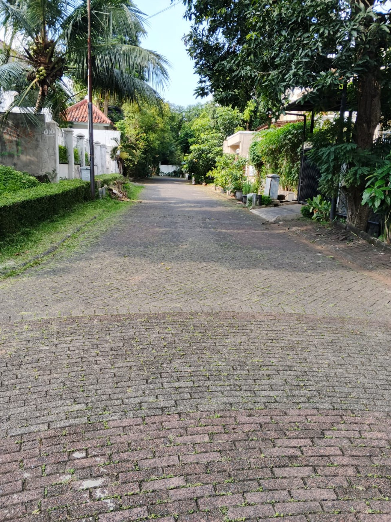 Rumah bagus, Halaman Luas, lokasi strategis di Bintaro Sektor 3