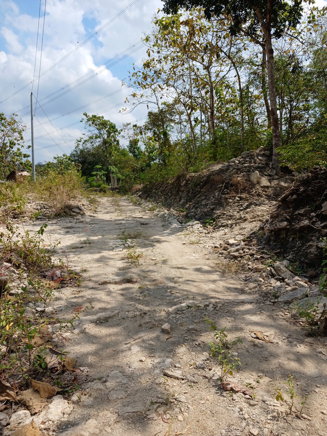 Tanah 2153 Meter Persegi Cocok Untuk Perumahan Di Pajangan, Bantul, Yogyakarta