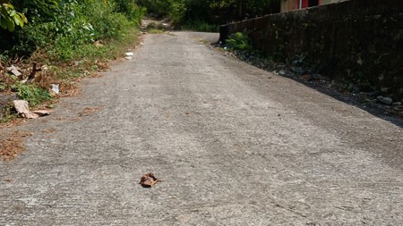 Tanah 2153 Meter Persegi Cocok Untuk Perumahan Di Pajangan, Bantul, Yogyakarta