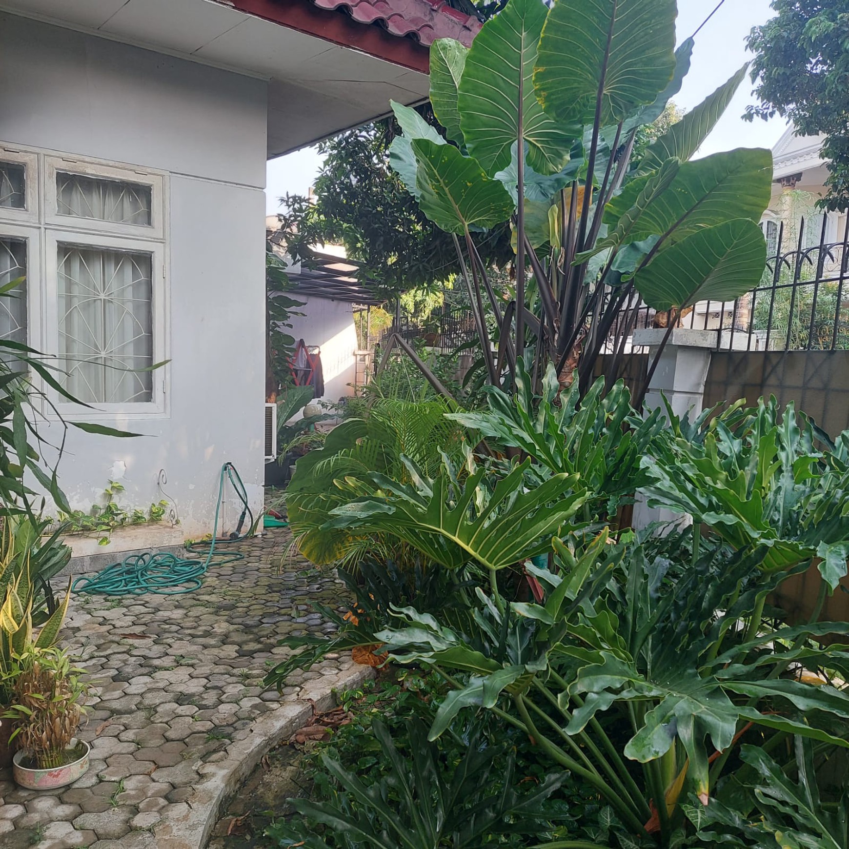 Rumah Siap Huni dengan Hunian Nyaman dan Asri di Ciputat Timur