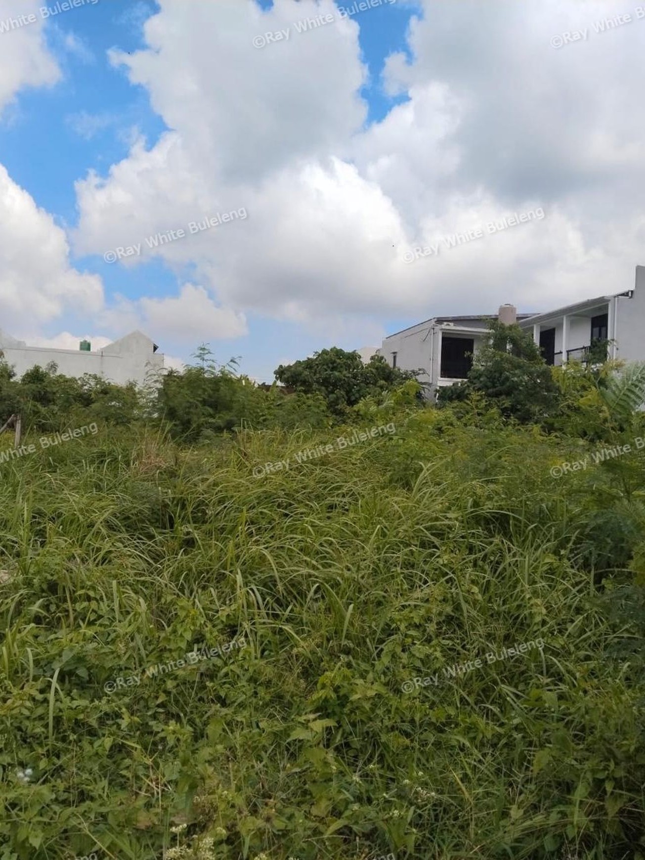 Peaceful Leasehold Land in North Canggu - 25+ Year Term Opportunity
