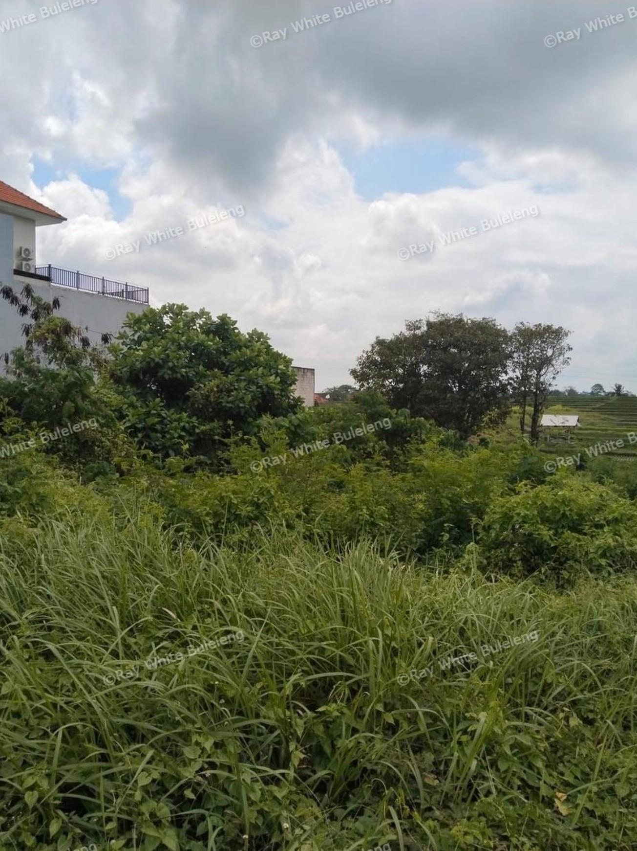 Peaceful Leasehold Land in North Canggu - 25+ Year Term Opportunity