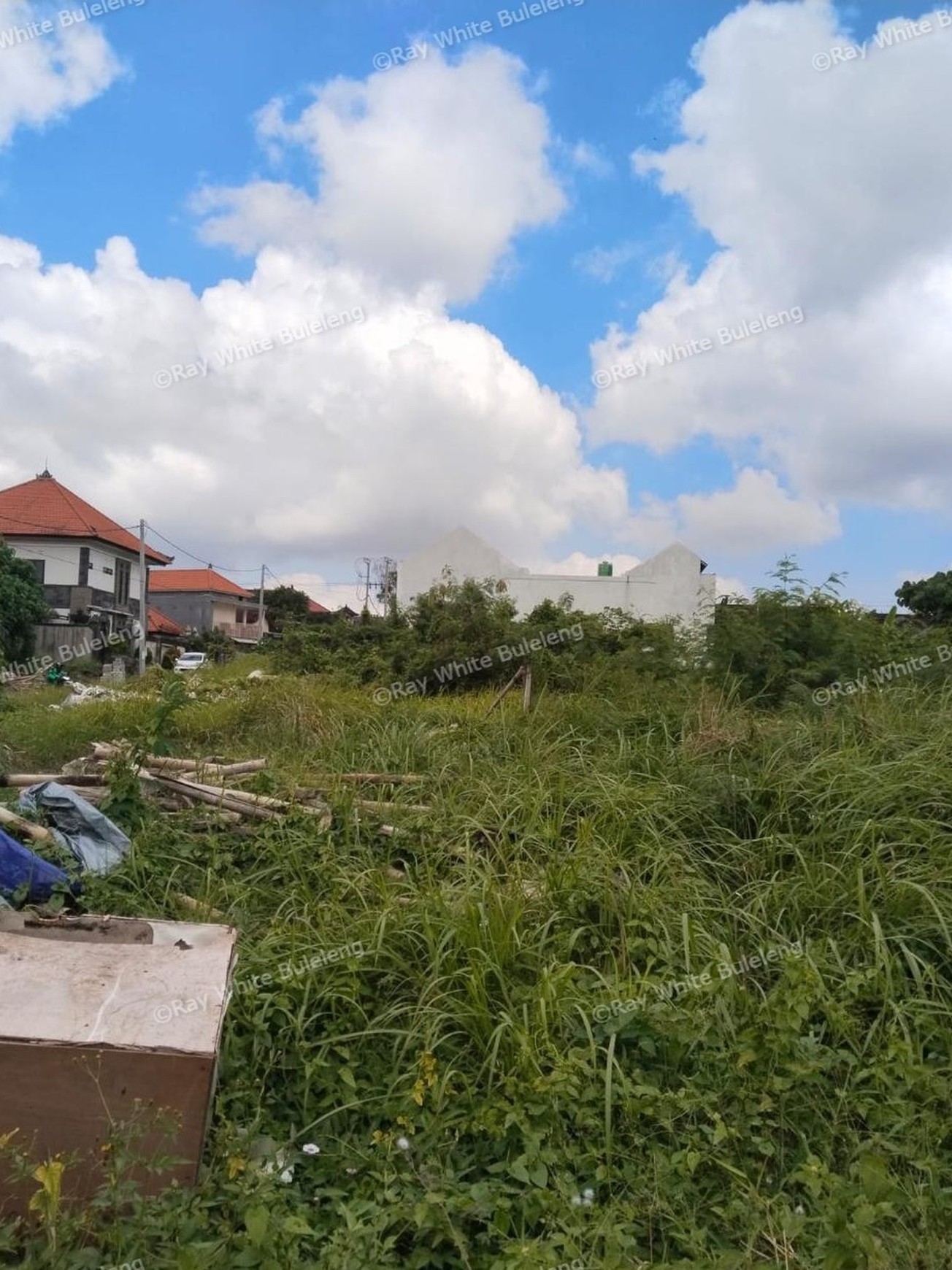 Peaceful Leasehold Land in North Canggu - 25+ Year Term Opportunity
