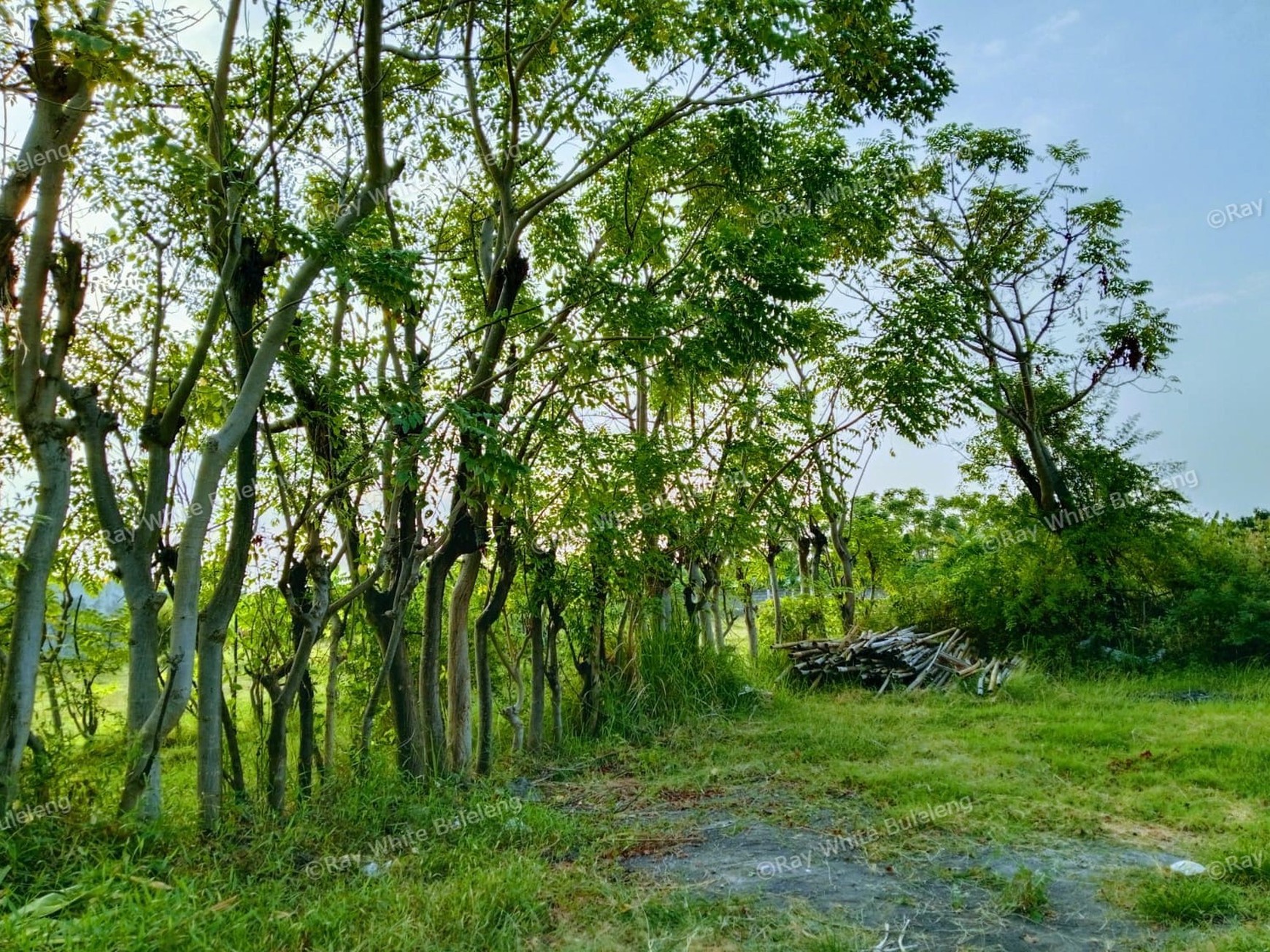 Prime Land in Peaceful Villa Kompleks - Just 400 Meters from the Beach