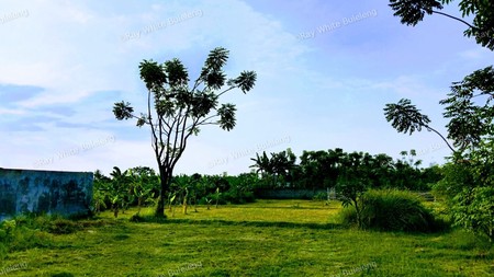 Prime Land in Peaceful Villa Kompleks - Just 400 Meters from the Beach