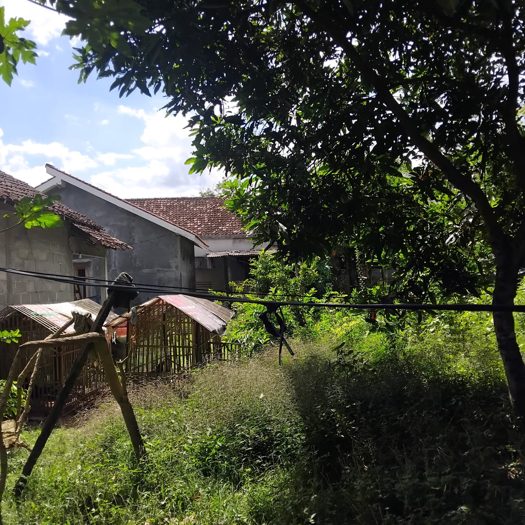 Tanah Pekarangan Lokasi Strategis di Dekat Pasar Cebongan Mlati Sleman 