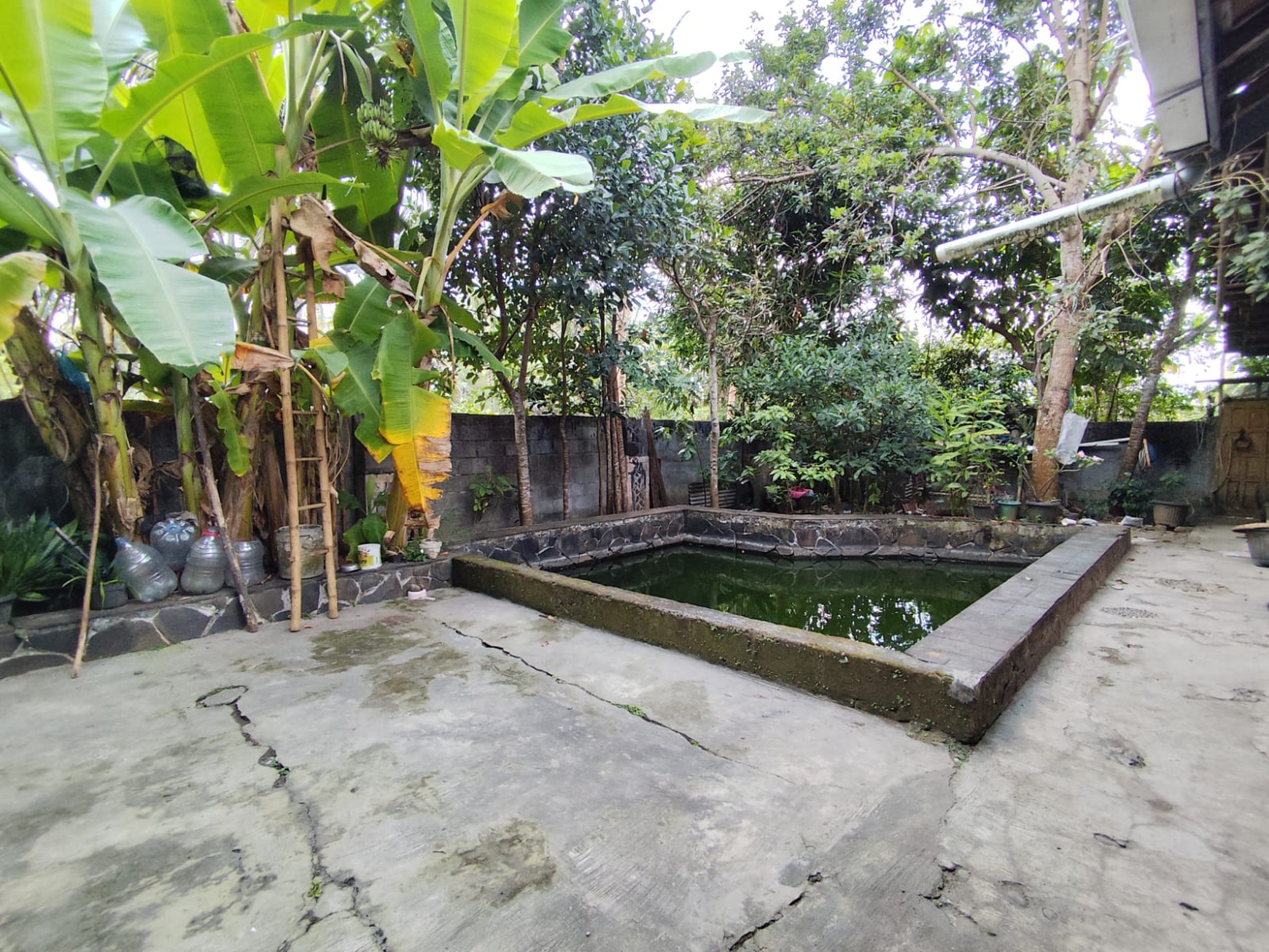 Rumah Tinggal Lingkungan Asri 10 Menit Dari Wates, Pengasih, Kulonprogo