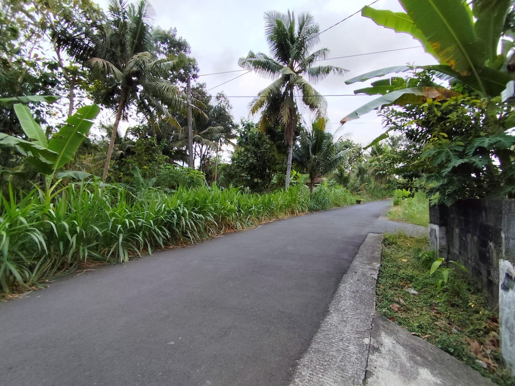 Rumah Tinggal Lingkungan Asri 10 Menit Dari Wates, Pengasih, Kulonprogo