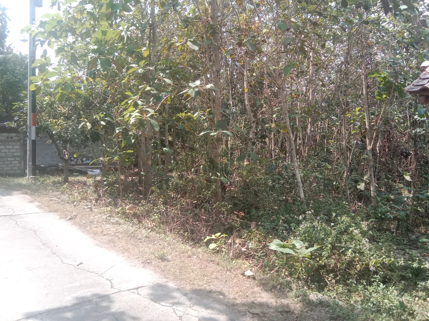 Tanah 1338 Meter Persegi Di Bangunjiwo Kasihan Bantul