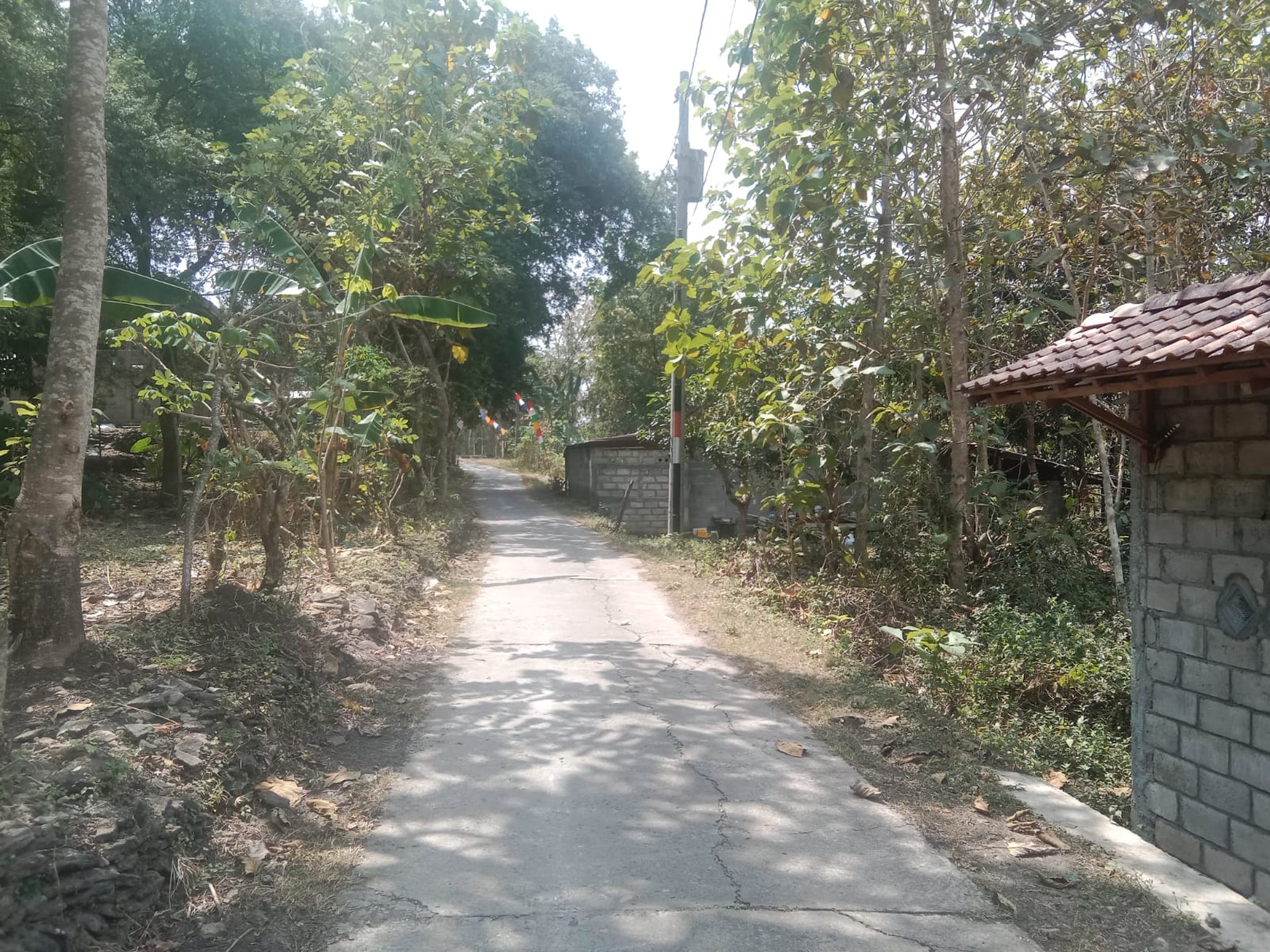 Tanah 1338 Meter Persegi Di Bangunjiwo Kasihan Bantul