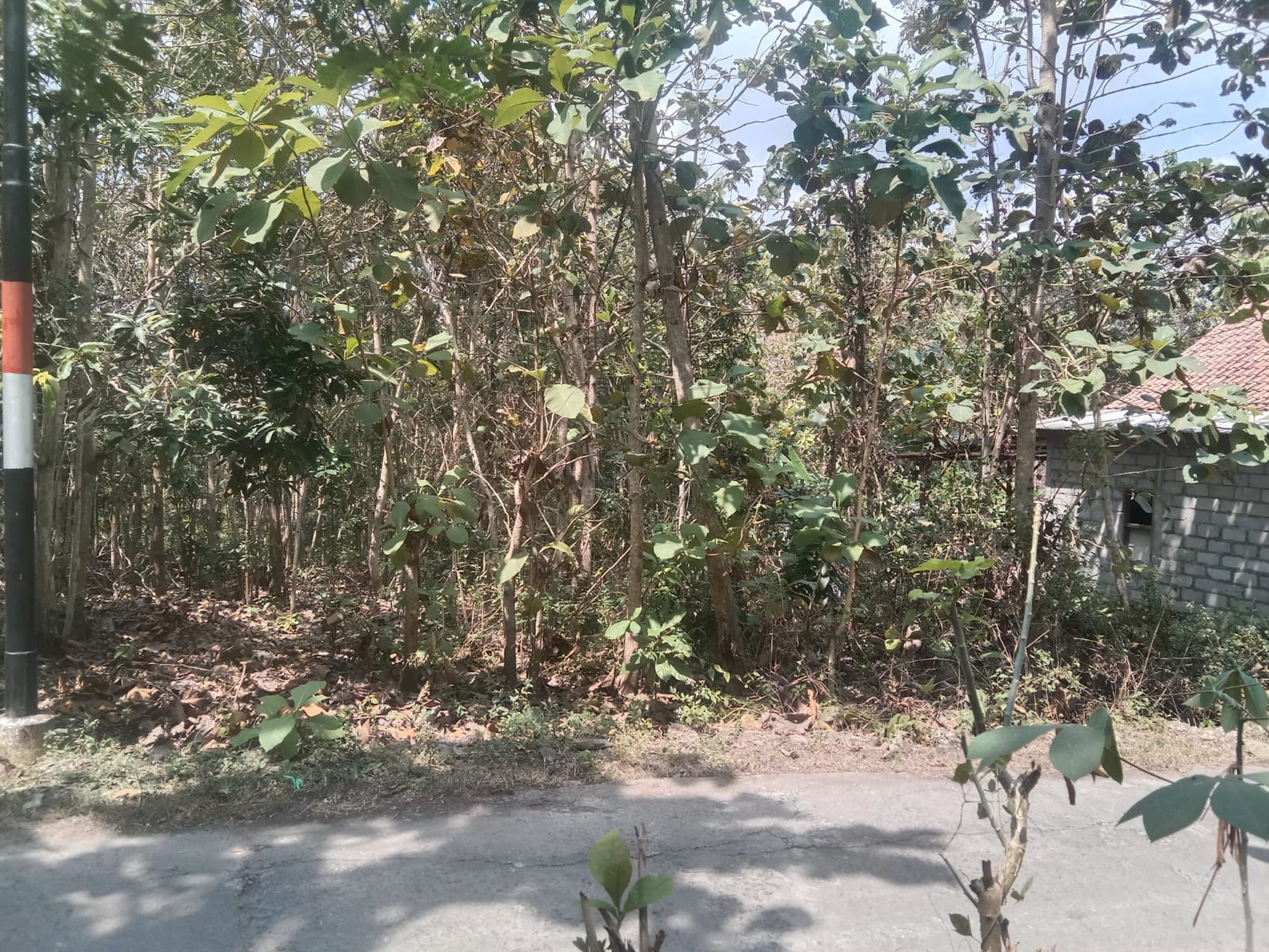 Tanah 1338 Meter Persegi Di Bangunjiwo Kasihan Bantul