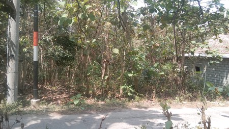 Tanah 1338 Meter Persegi Di Bangunjiwo Kasihan Bantul