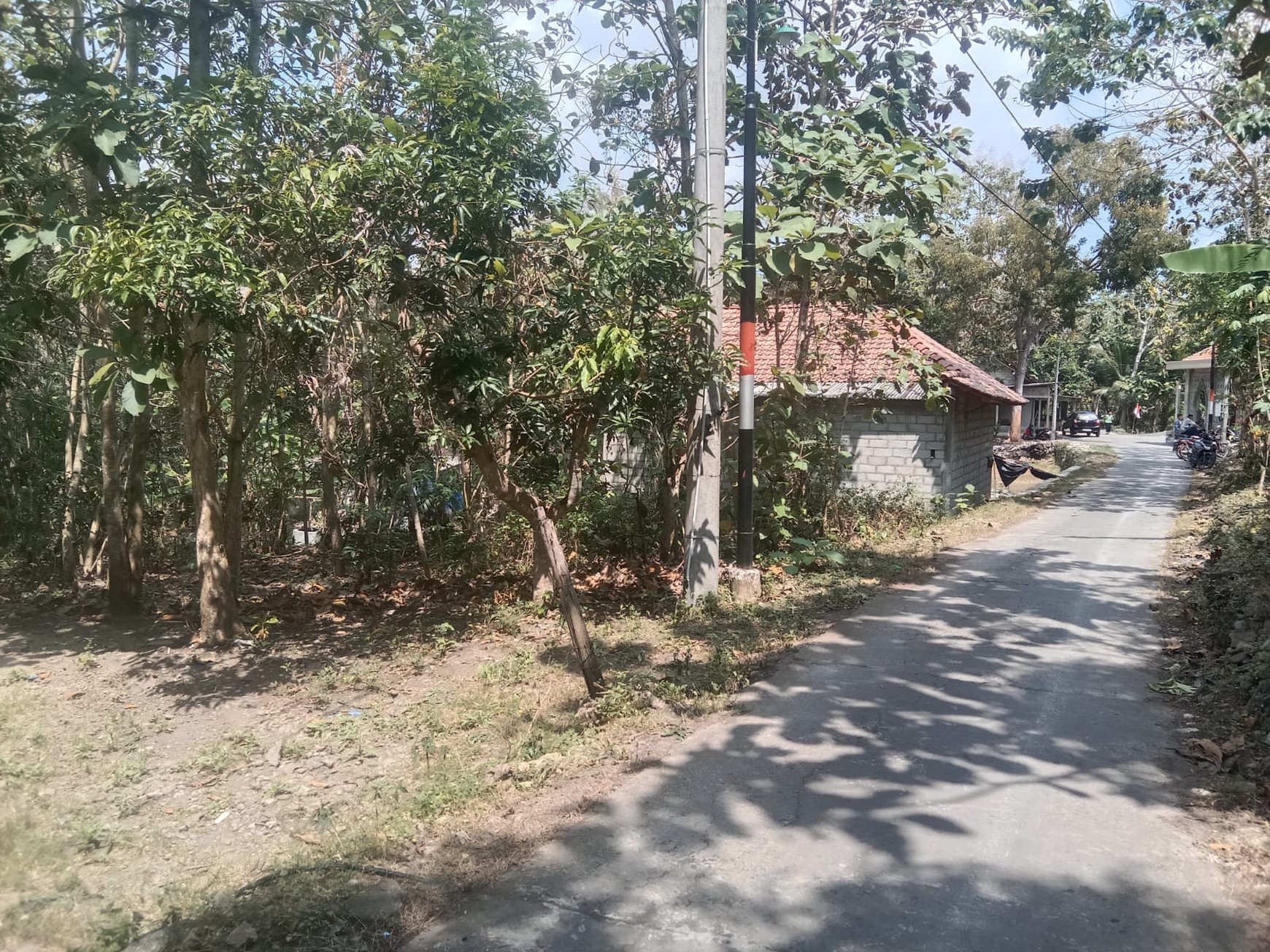 Tanah 1338 Meter Persegi Di Bangunjiwo Kasihan Bantul