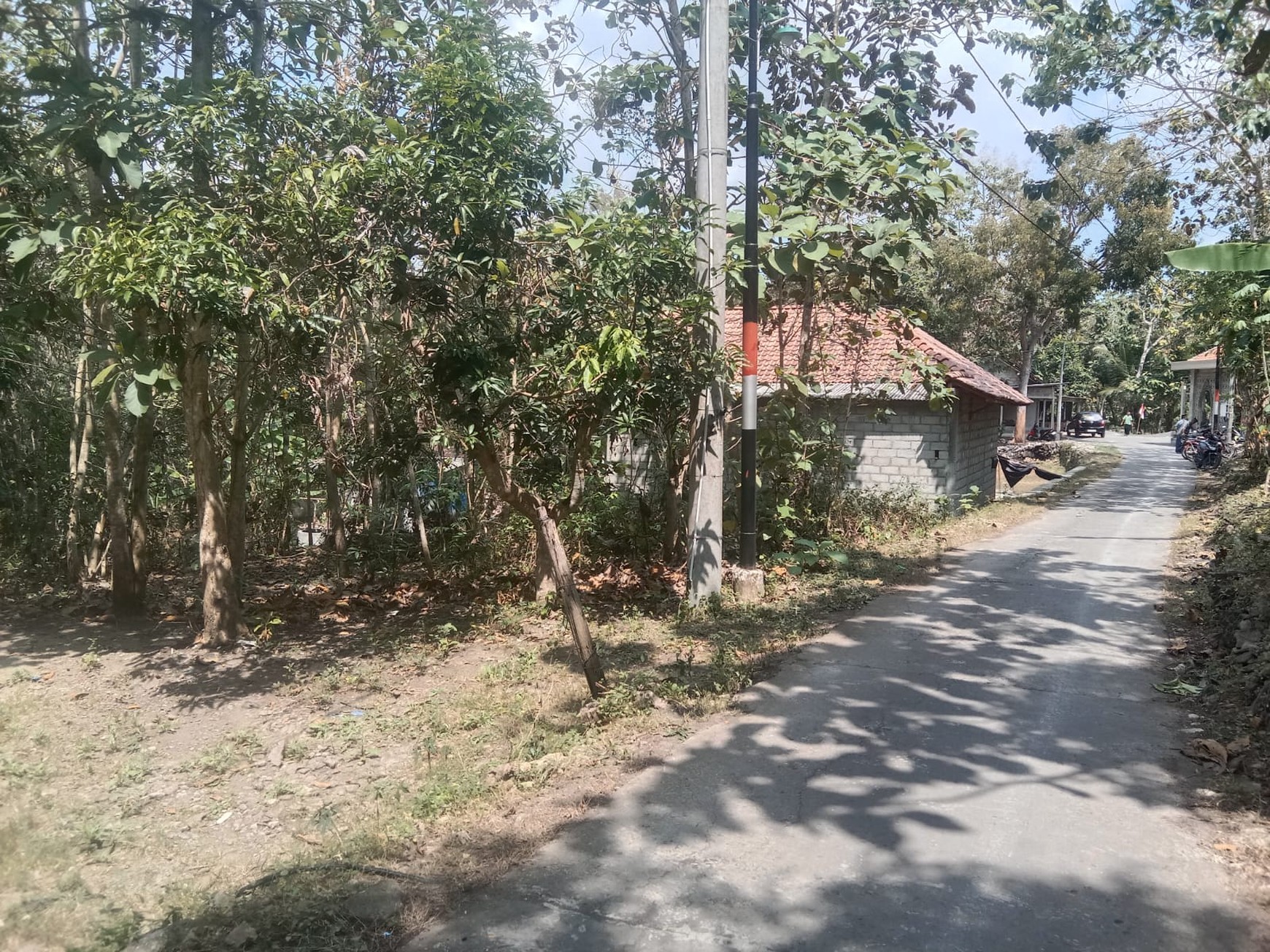 Tanah 1338 Meter Persegi Di Bangunjiwo Kasihan Bantul