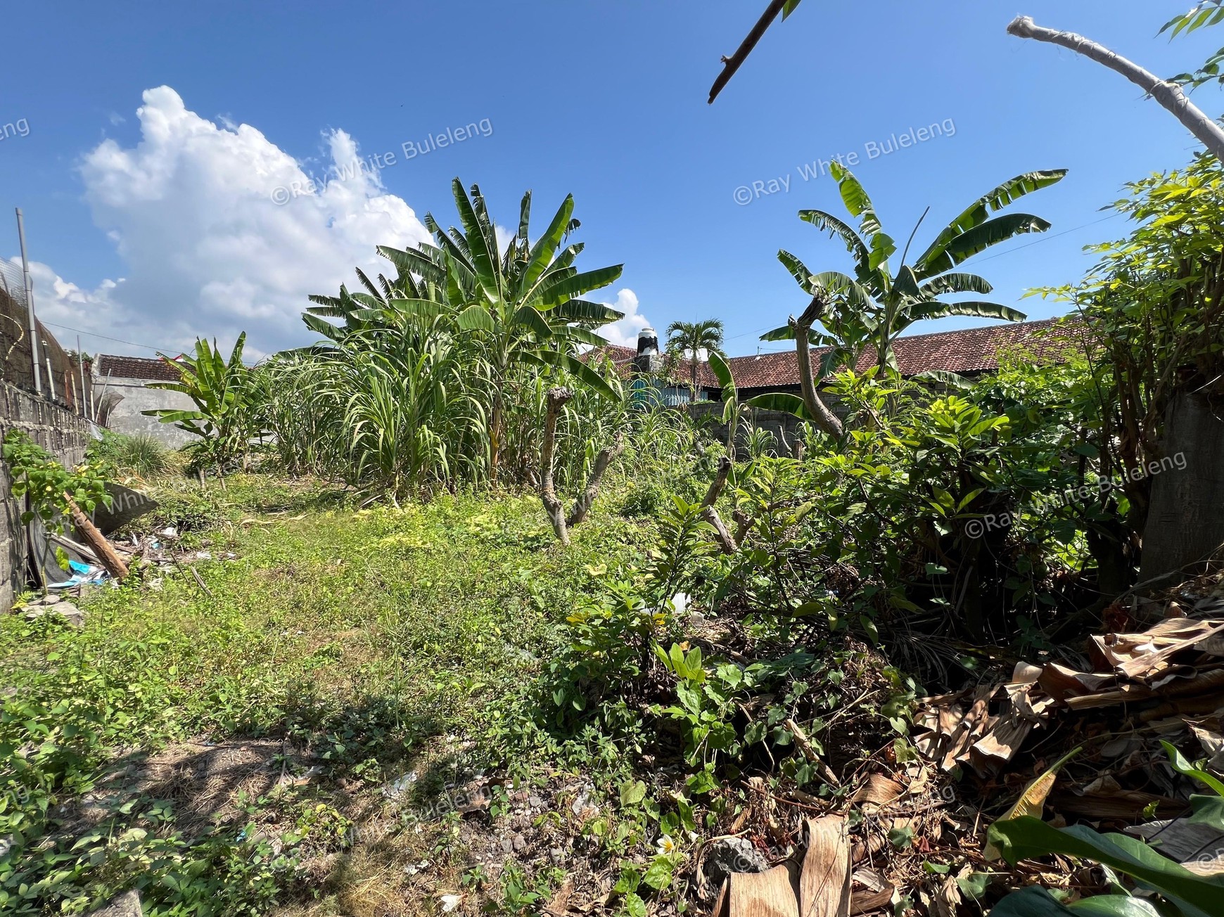 Strategic Land for Private Living or Rental Investment
