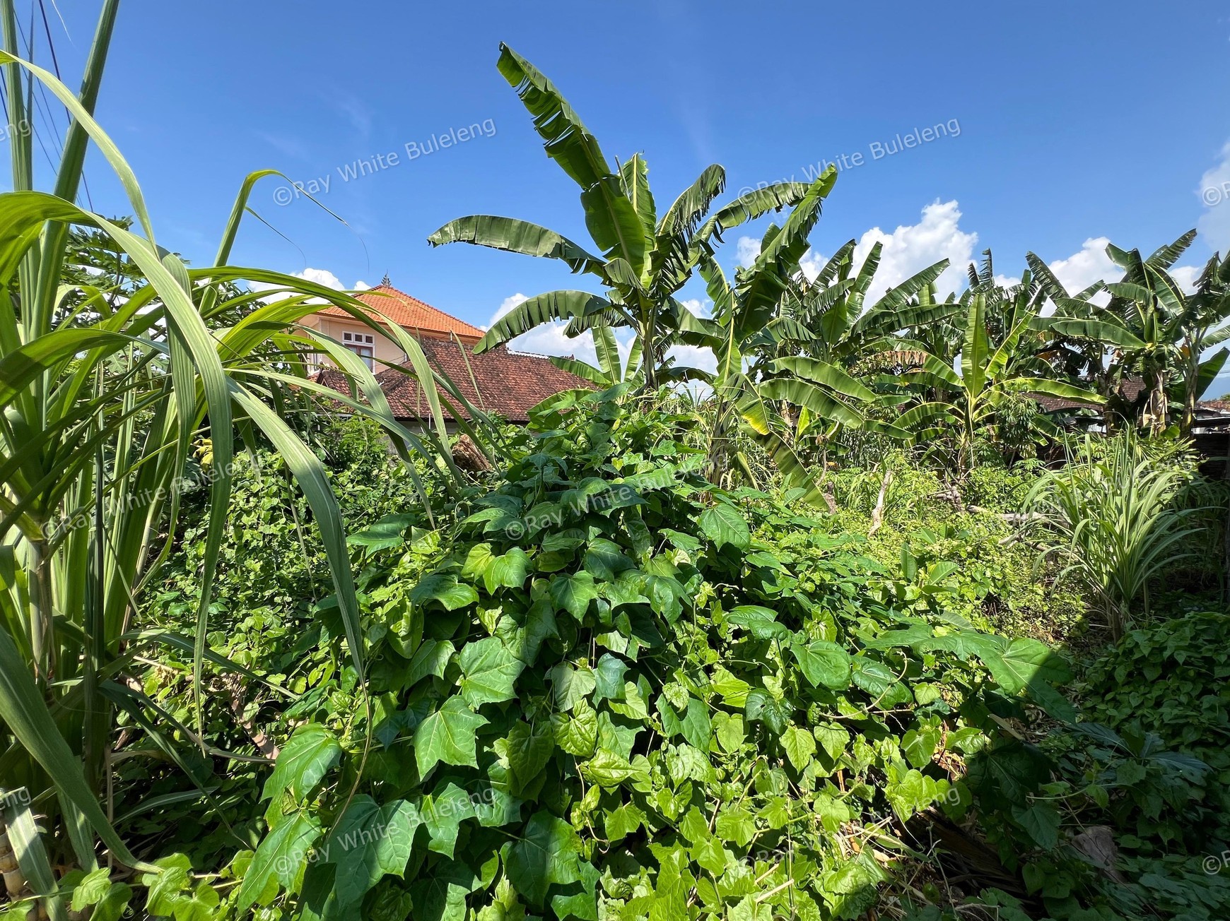 Strategic Land for Private Living or Rental Investment