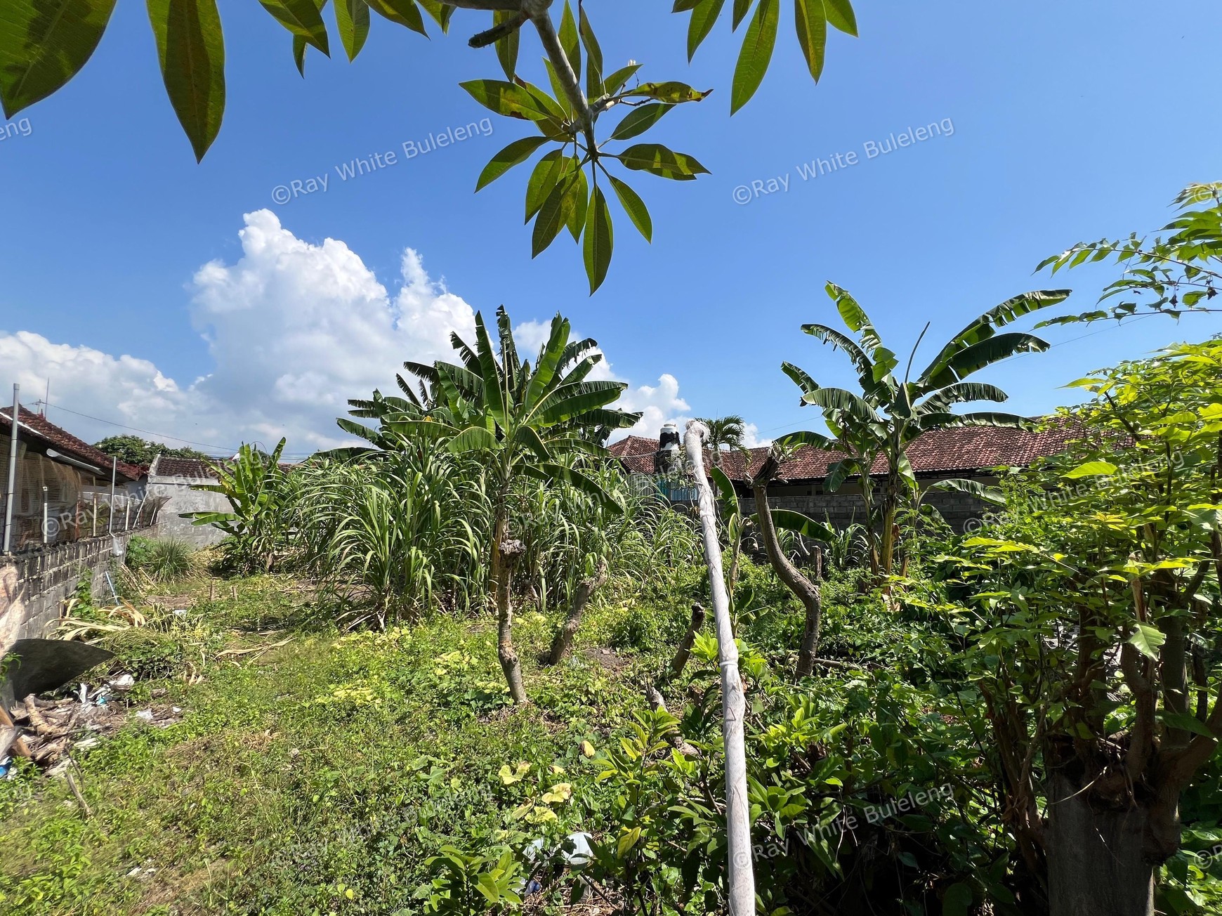 Strategic Land for Private Living or Rental Investment