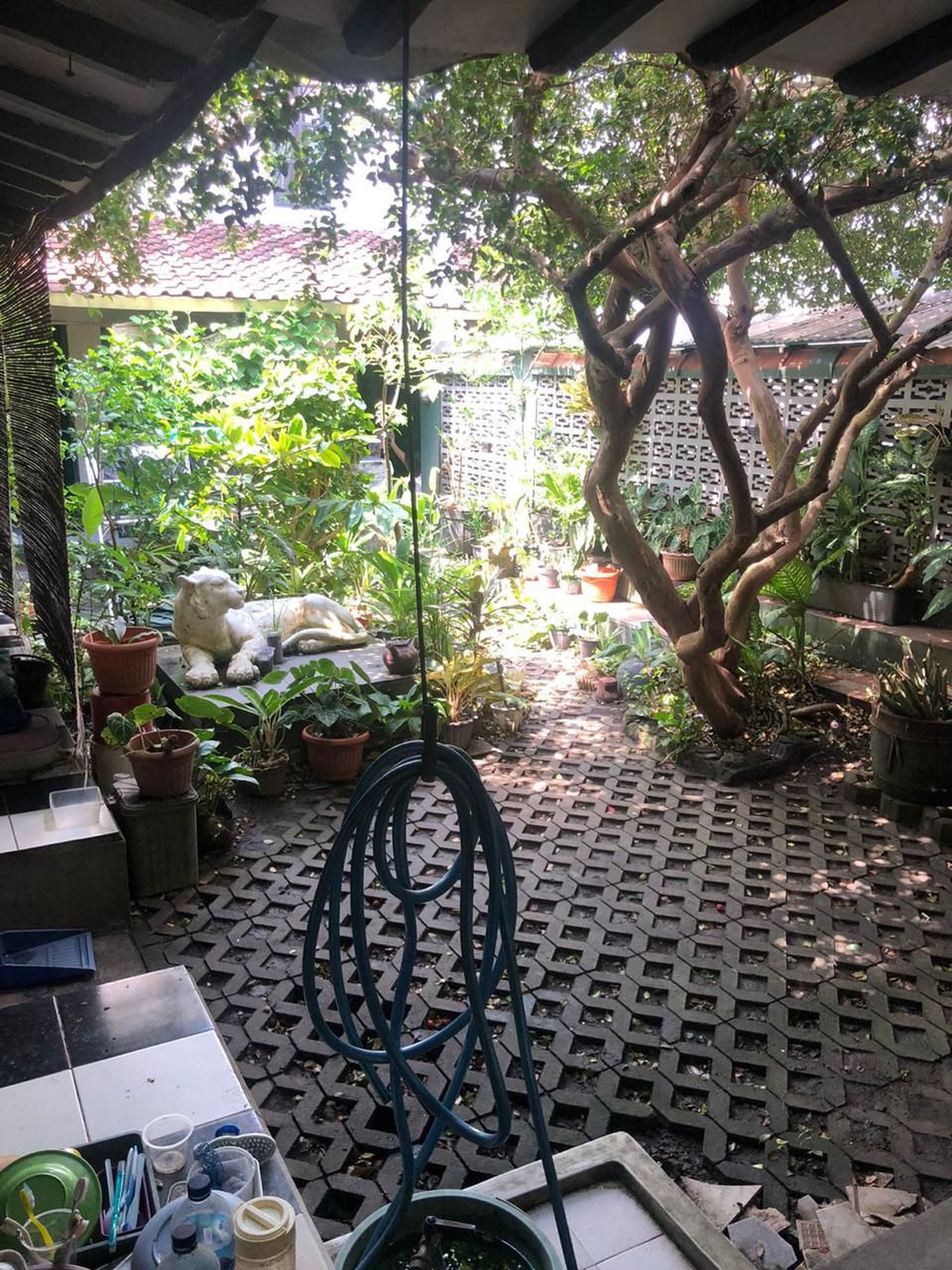 Rumah Cocok Untuk Keluarga Besar Lokasi Strategis di Wirobrajan Yogyakarta 