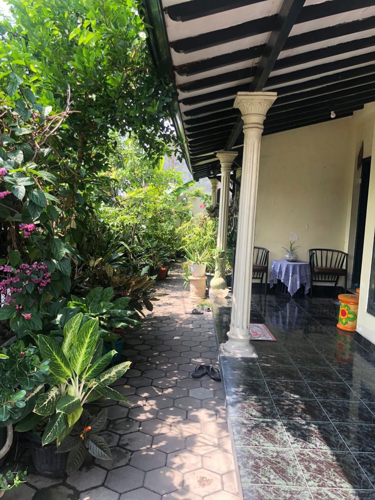 Rumah Cocok Untuk Keluarga Besar Lokasi Strategis di Wirobrajan Yogyakarta 