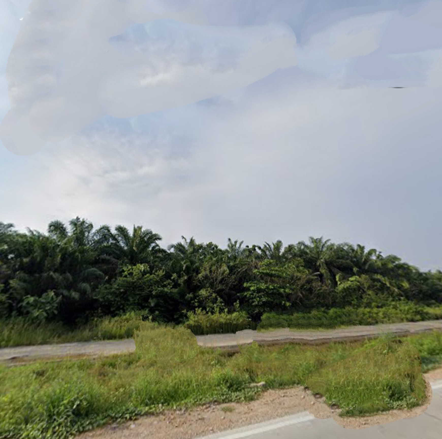 Lahan kosong dipinggir jalur dua Jln. Terusan Ryacudu Kota baru JATI AGUNG, Lampung Selatan (Lampung)
