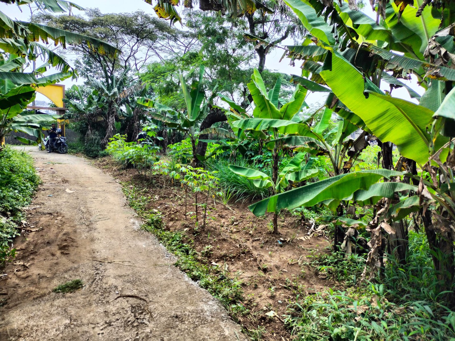 Dijual Tanah Siap Bangun jl Ciodeng Baleendah Bandung