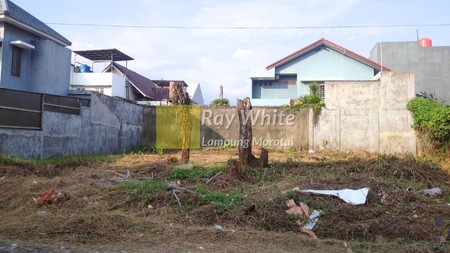Jual Tanah di Perumahan Bumi Asri (Kedamaian)