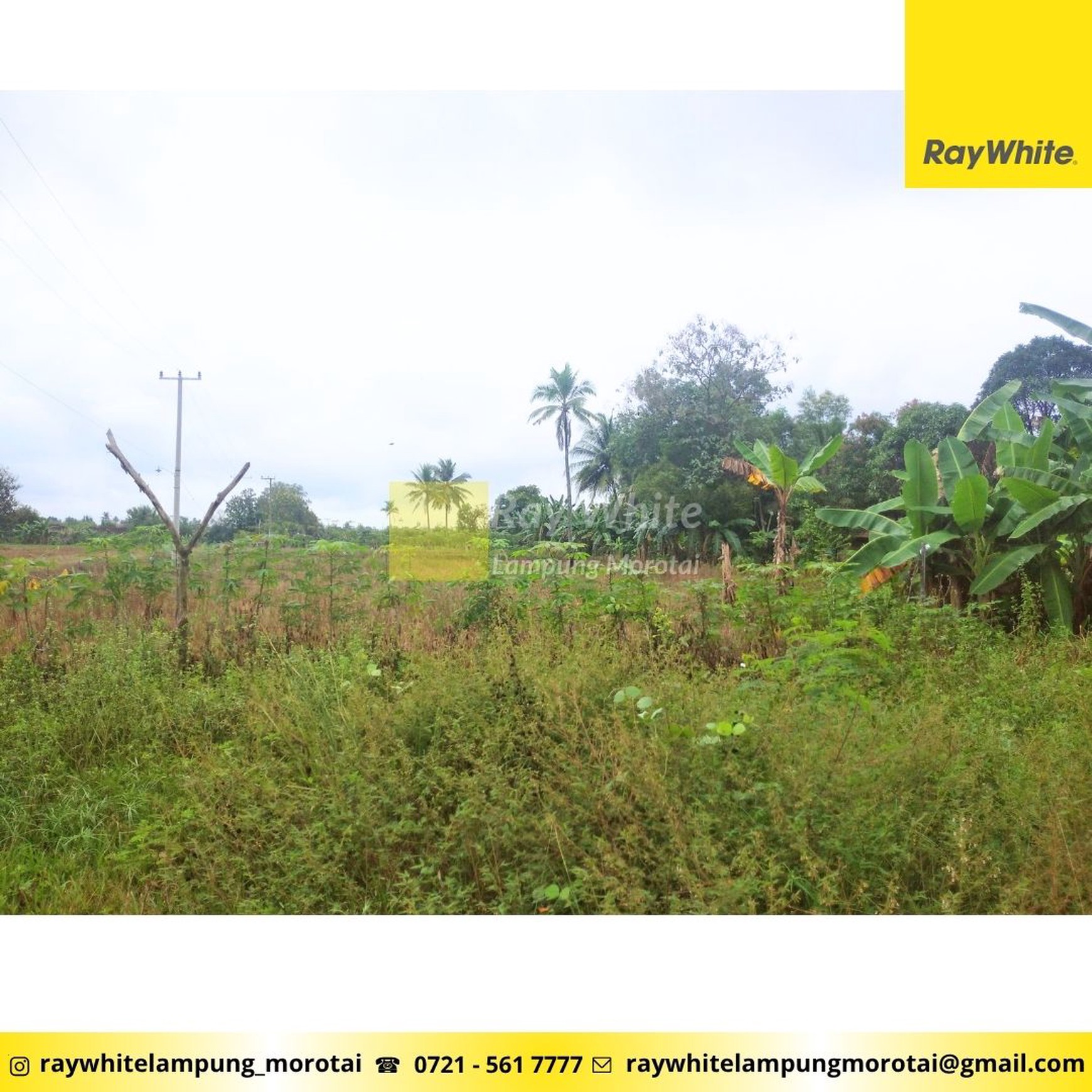 Jual Tanah Murah Candi Mas Natar