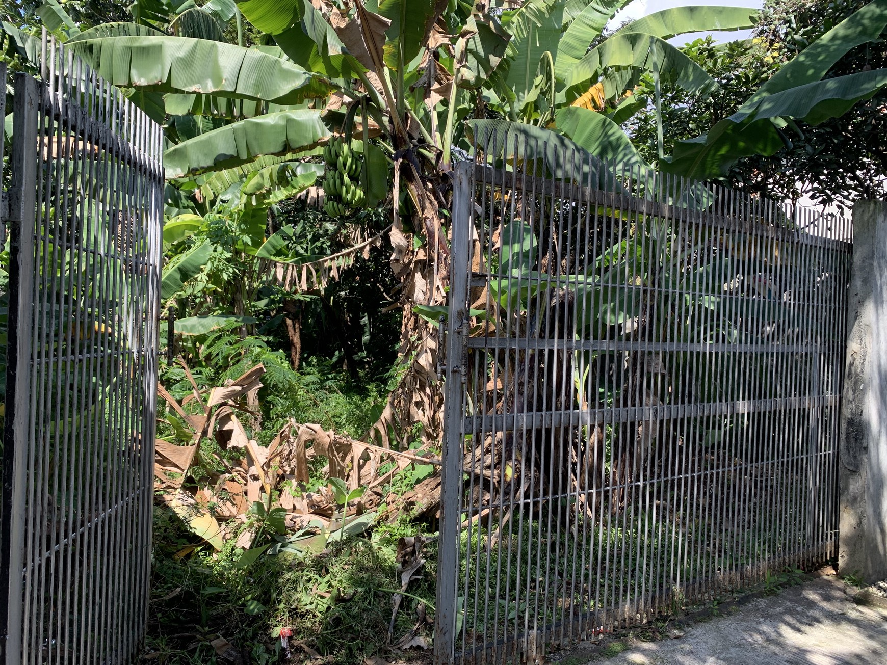 Tanah Murah dan Luas di Daerah Cibiru Dekat Kampus UIN