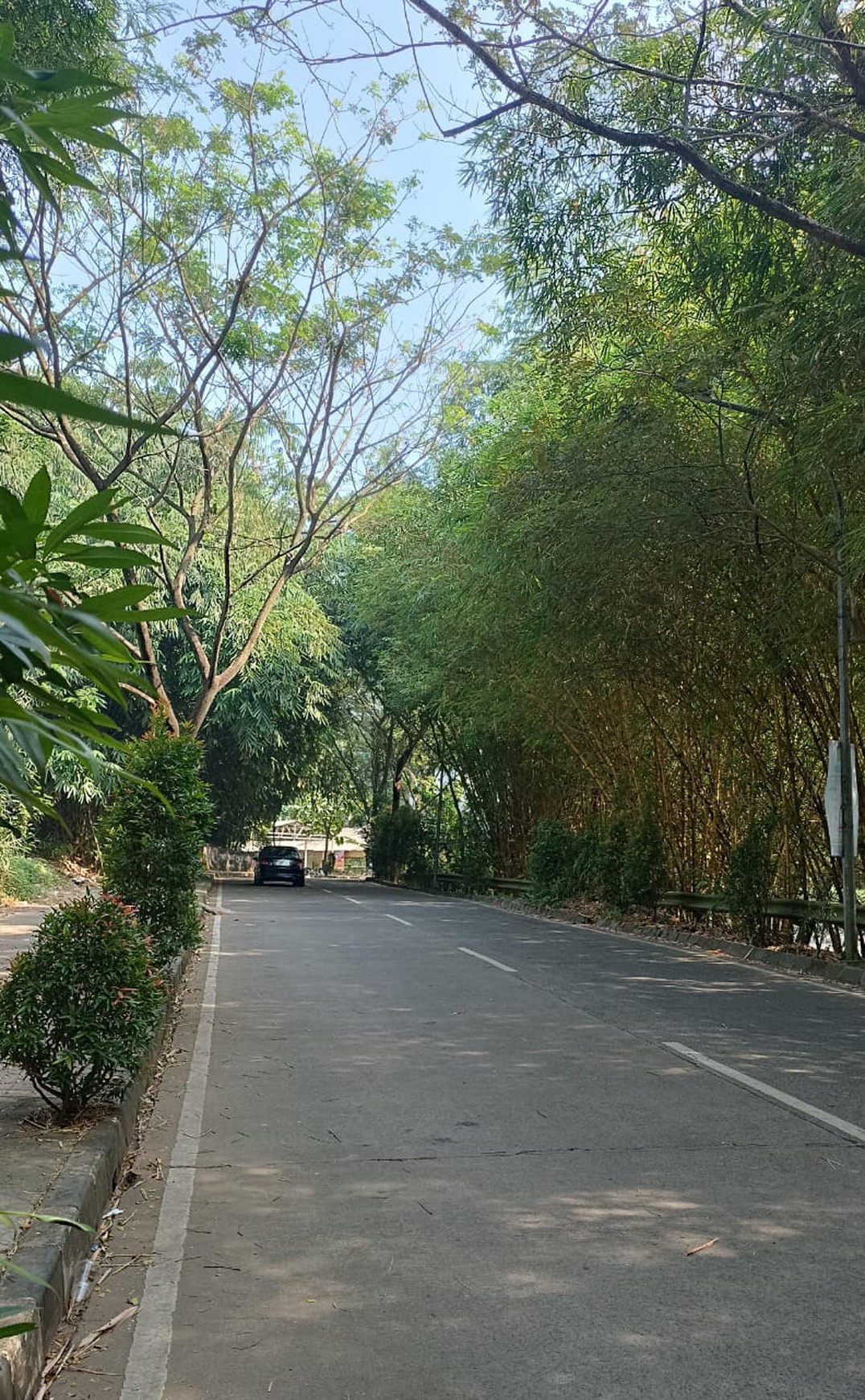 Tanah di pinggir jalan raya Tandon Ciater, TangSel