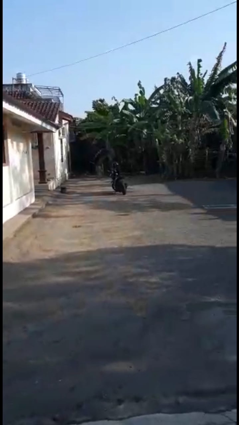 Rumah Joglo Cocok Untuk Homestay Di Area Kraton Yogyakarta