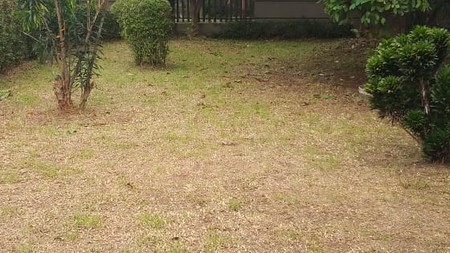 Rumah Asri Sejuk Hijau di Cipayung Jakarta Timur