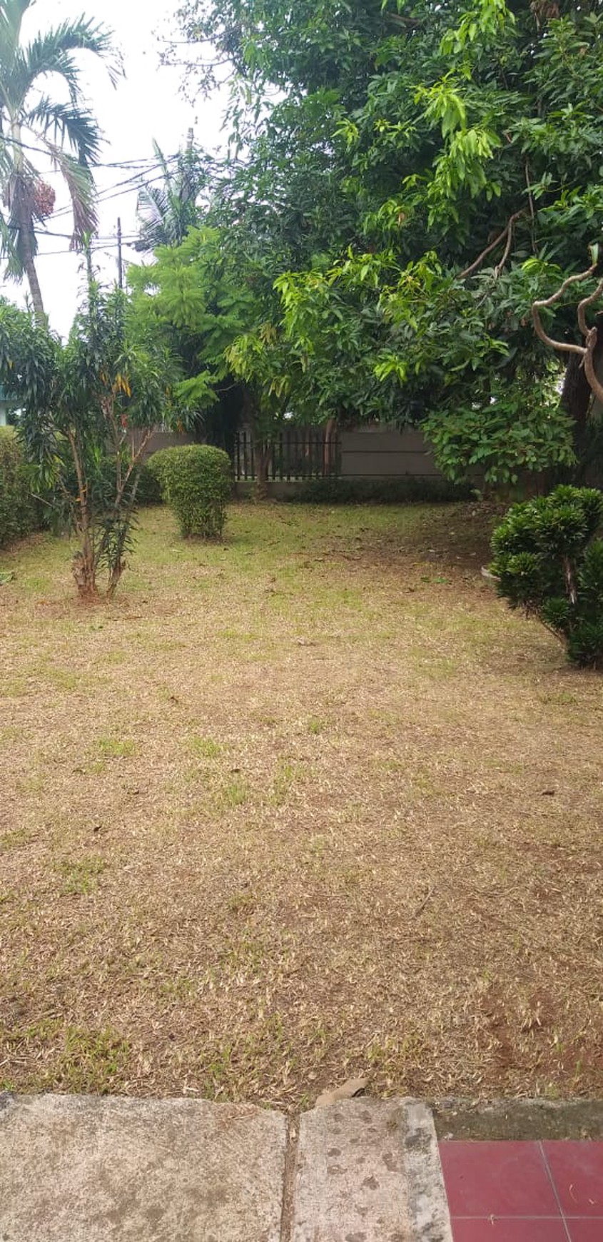 Rumah Asri Sejuk Hijau di Cipayung Jakarta Timur
