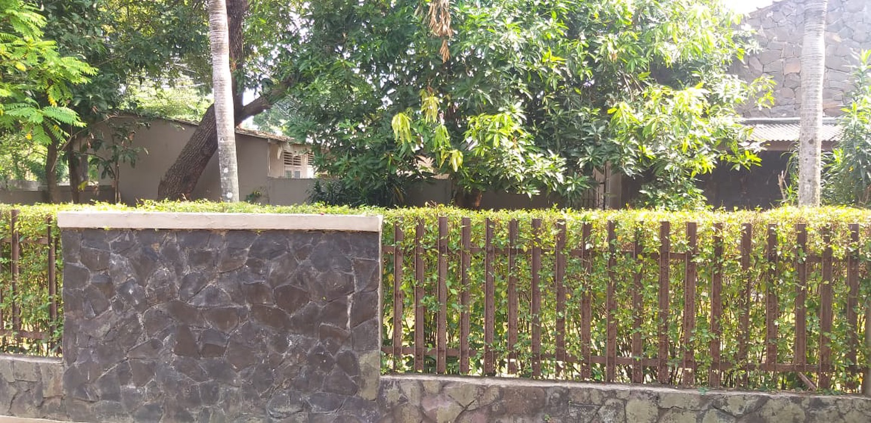 Rumah Asri Sejuk Hijau di Cipayung Jakarta Timur